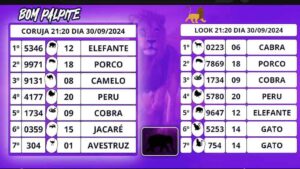 O que e o jogo do bicho