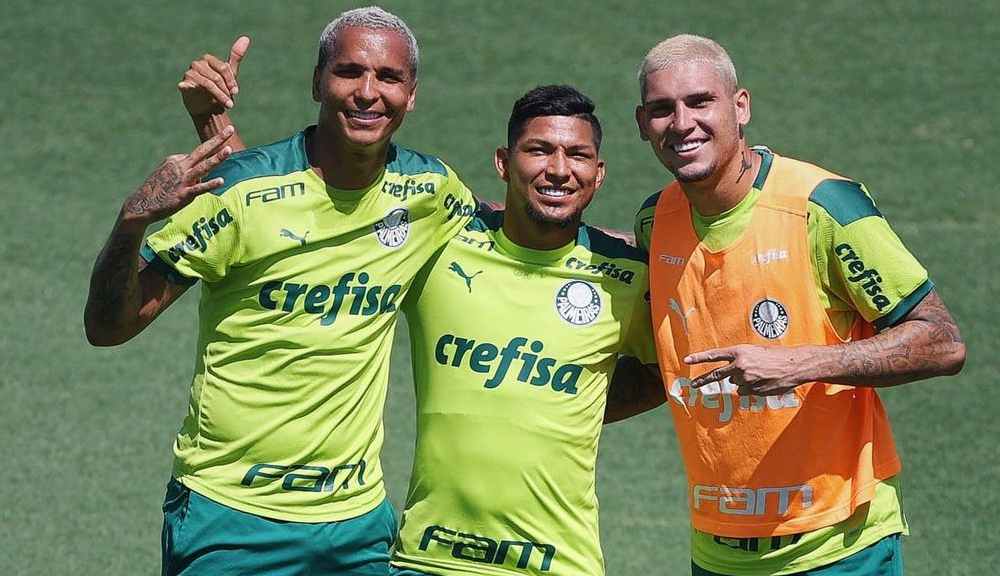 Novorizontino x Palmeiras