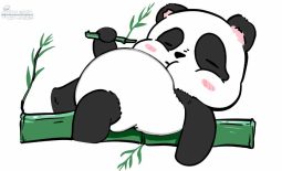 Como jogar Panda Time